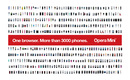 Opera-mini-5-1-red-3000