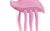 Jellyfish_by_angyem