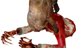 Zombie_torso