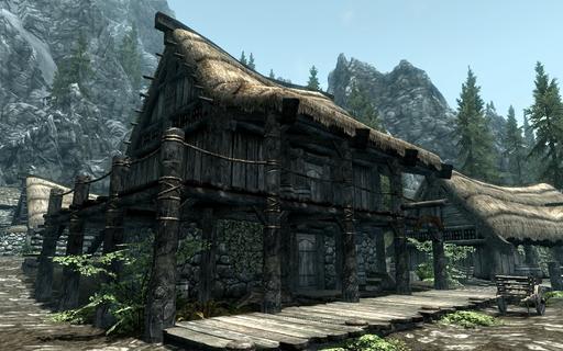 Elder Scrolls V: Skyrim, The - Работа на конкурс «Альтернативная история» | Камилла Валерия. Из жизни городской торговки